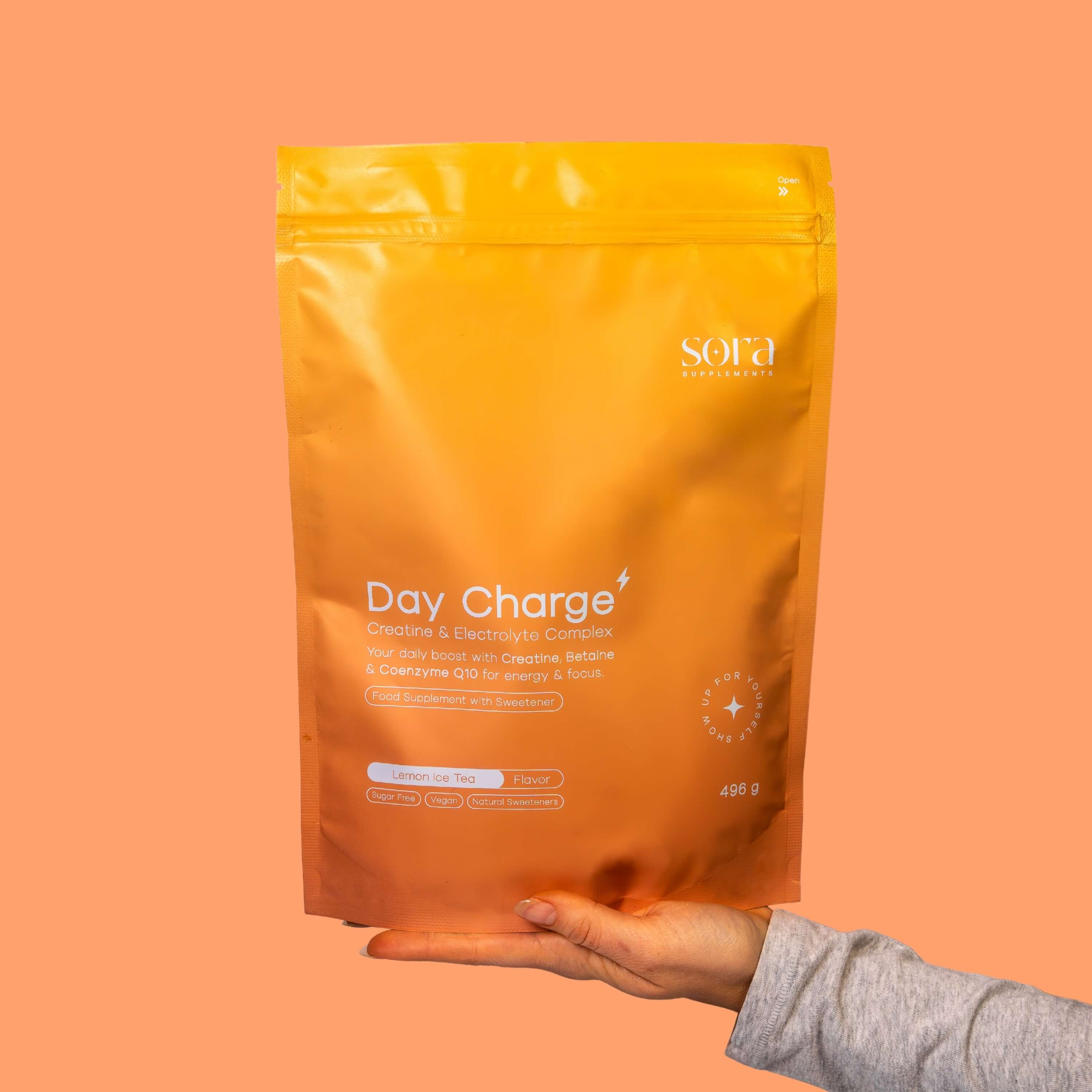 Energy 2.0 - Day Charge