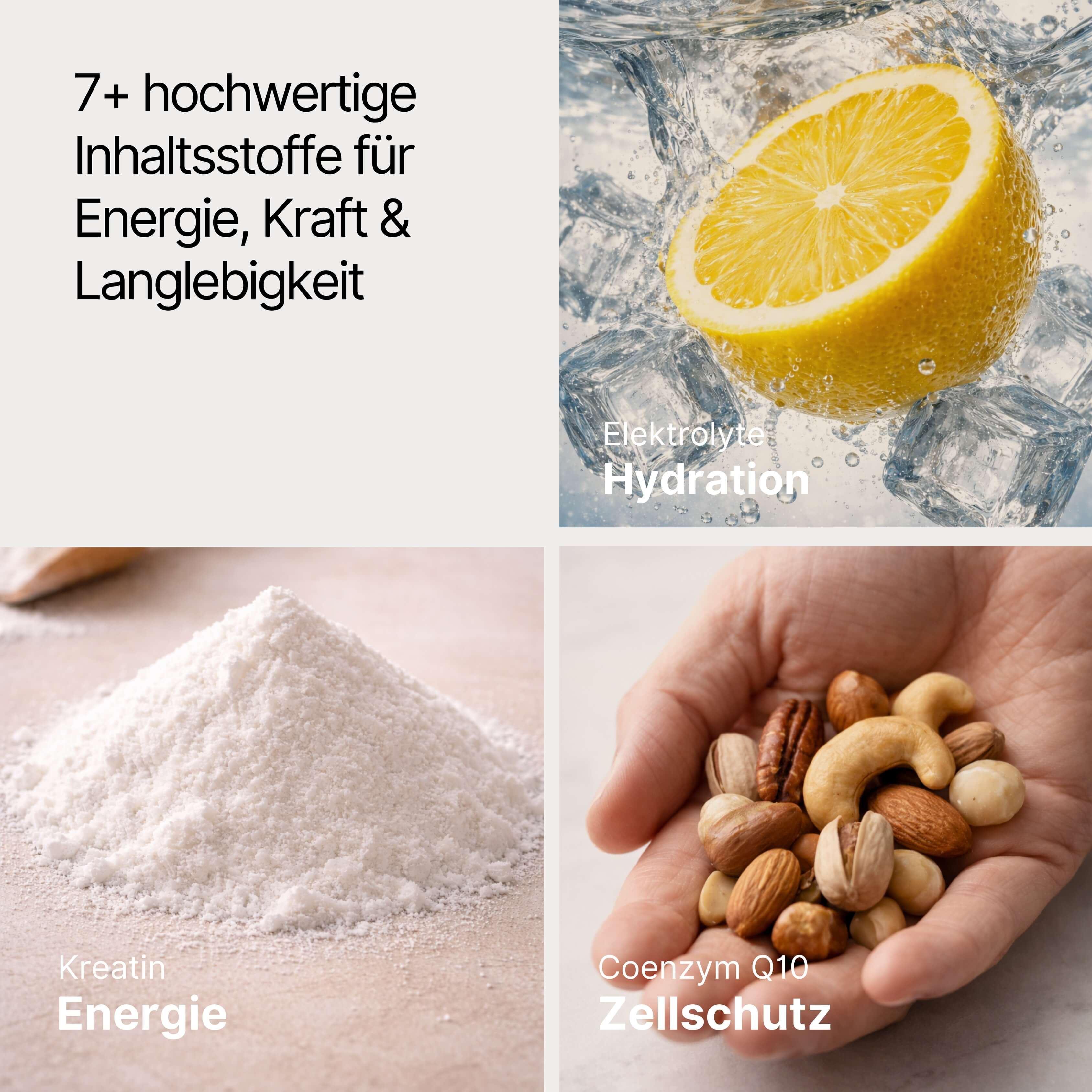 Energy 2.0 - Day Charge