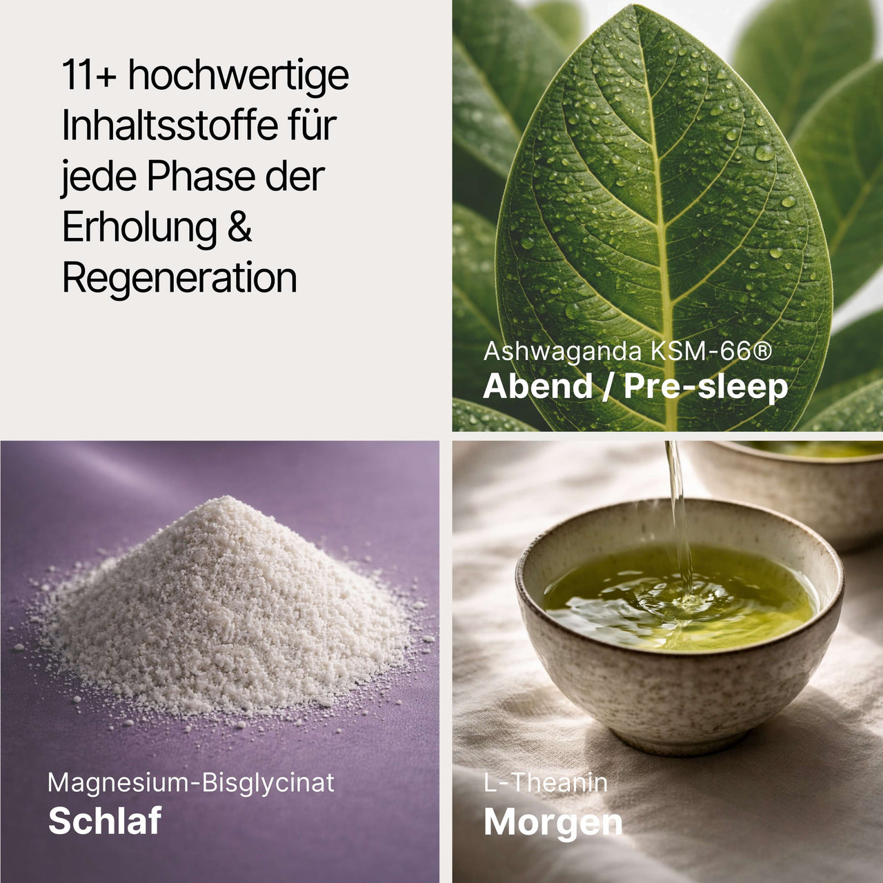 Sleep 2.0 - Midnight Calm