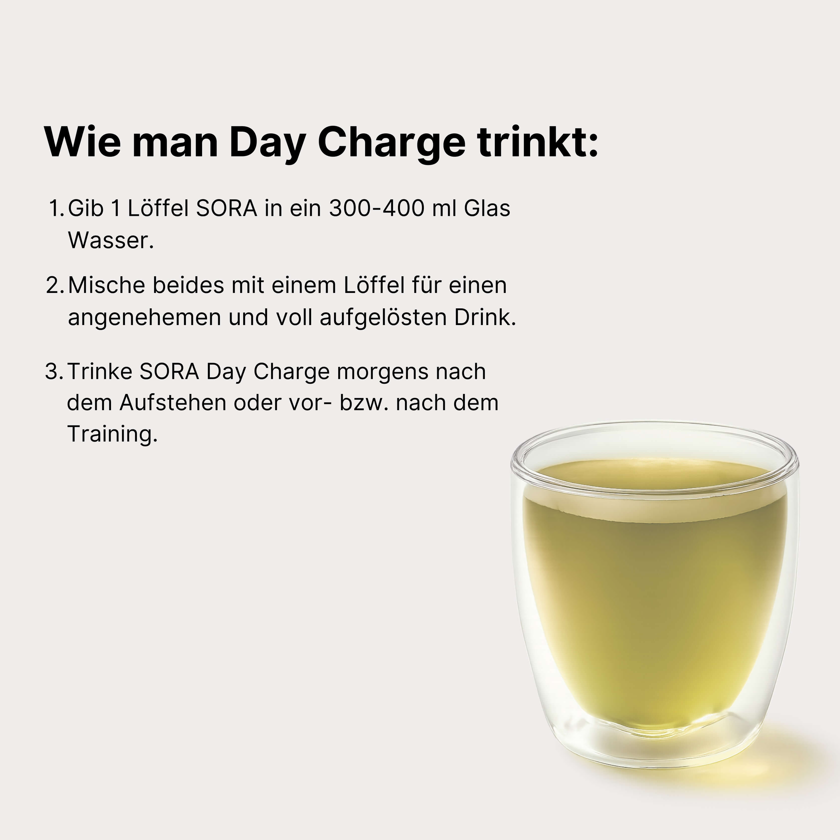 Energy 2.0 - Day Charge