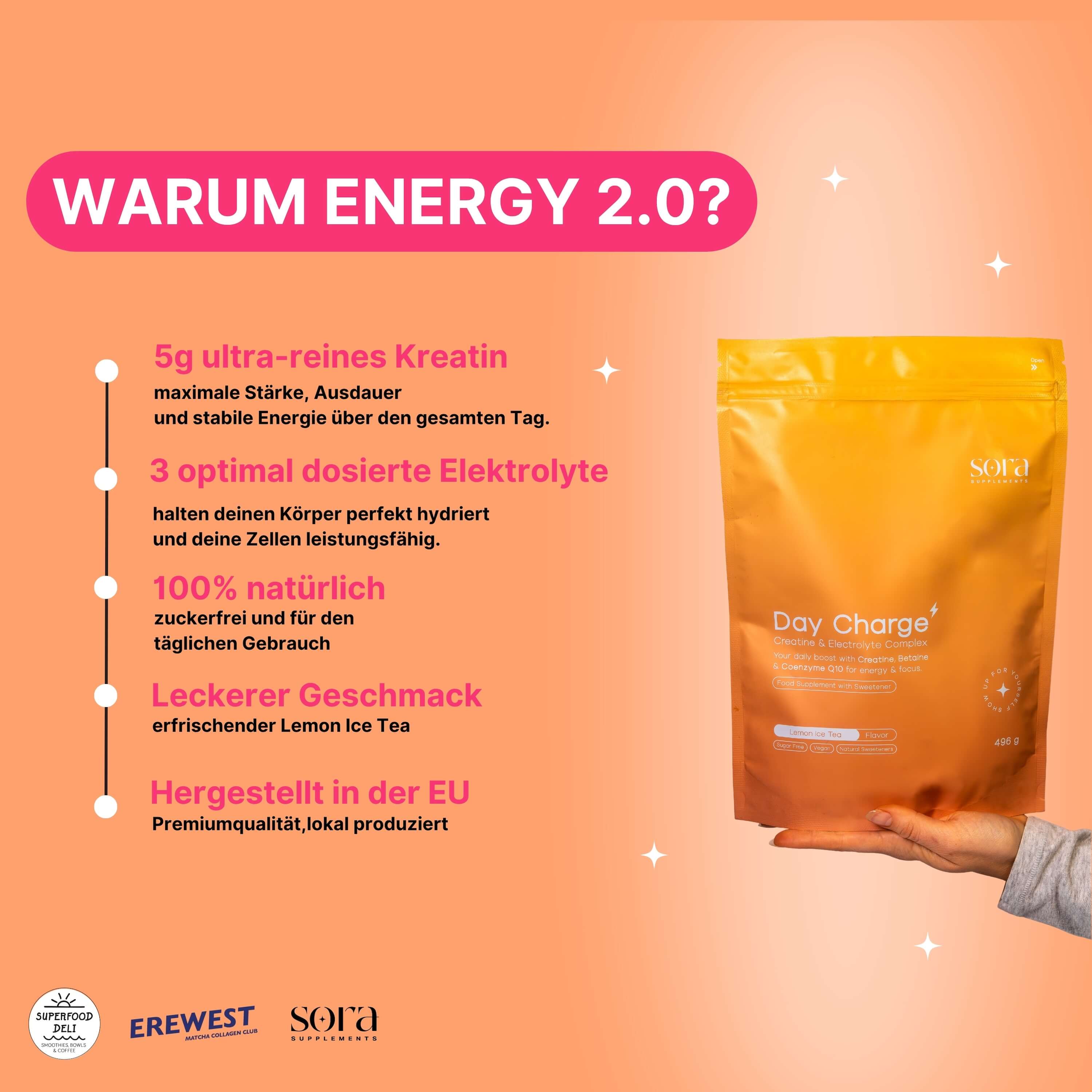 Energy 2.0 - Day Charge