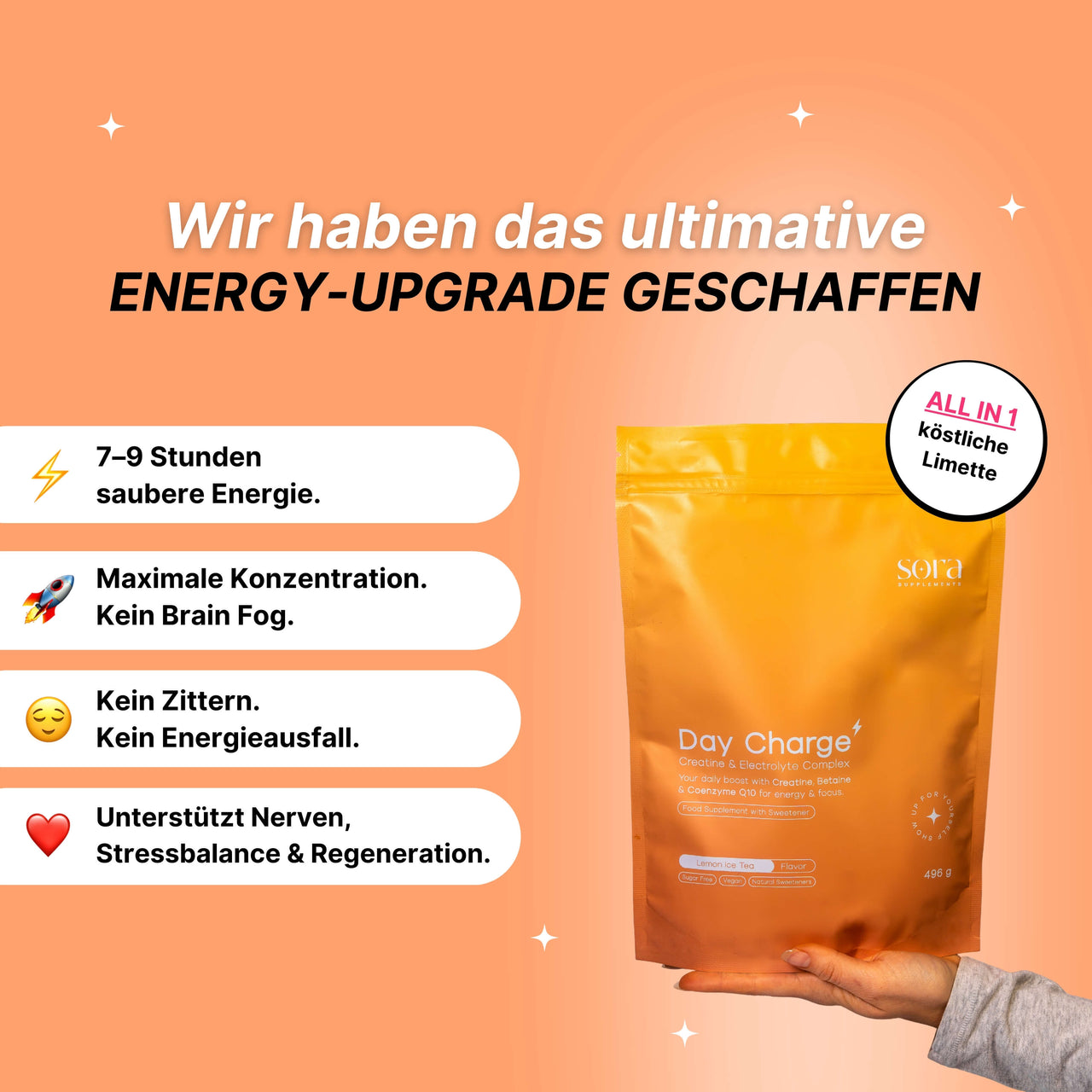 Energy 2.0 - Day Charge